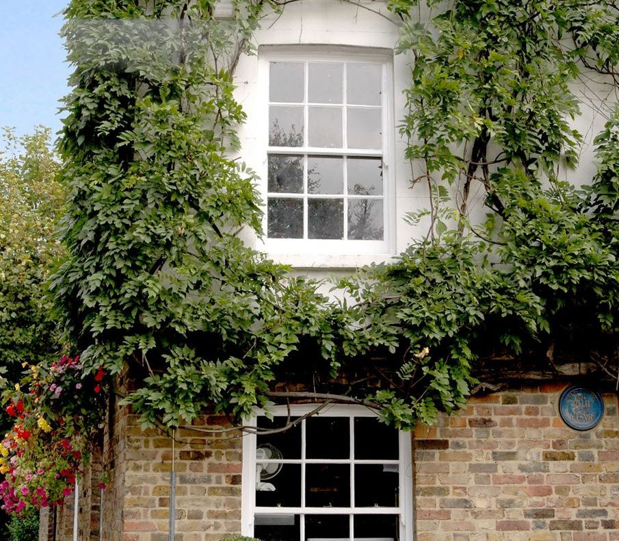 timber sash windows